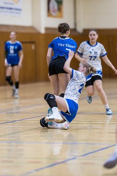 Bild 52 - wAJ TSV Ellerau - HSG Pinnau : Ergebnis: 28:13